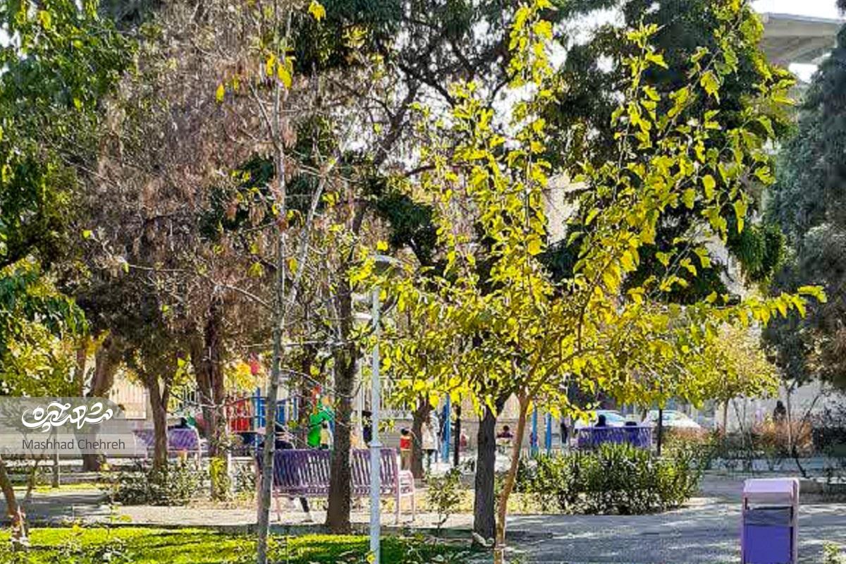 خیابان سلامتی در محله فرهنگیان خیابان سلامتی در محله فرهنگیان