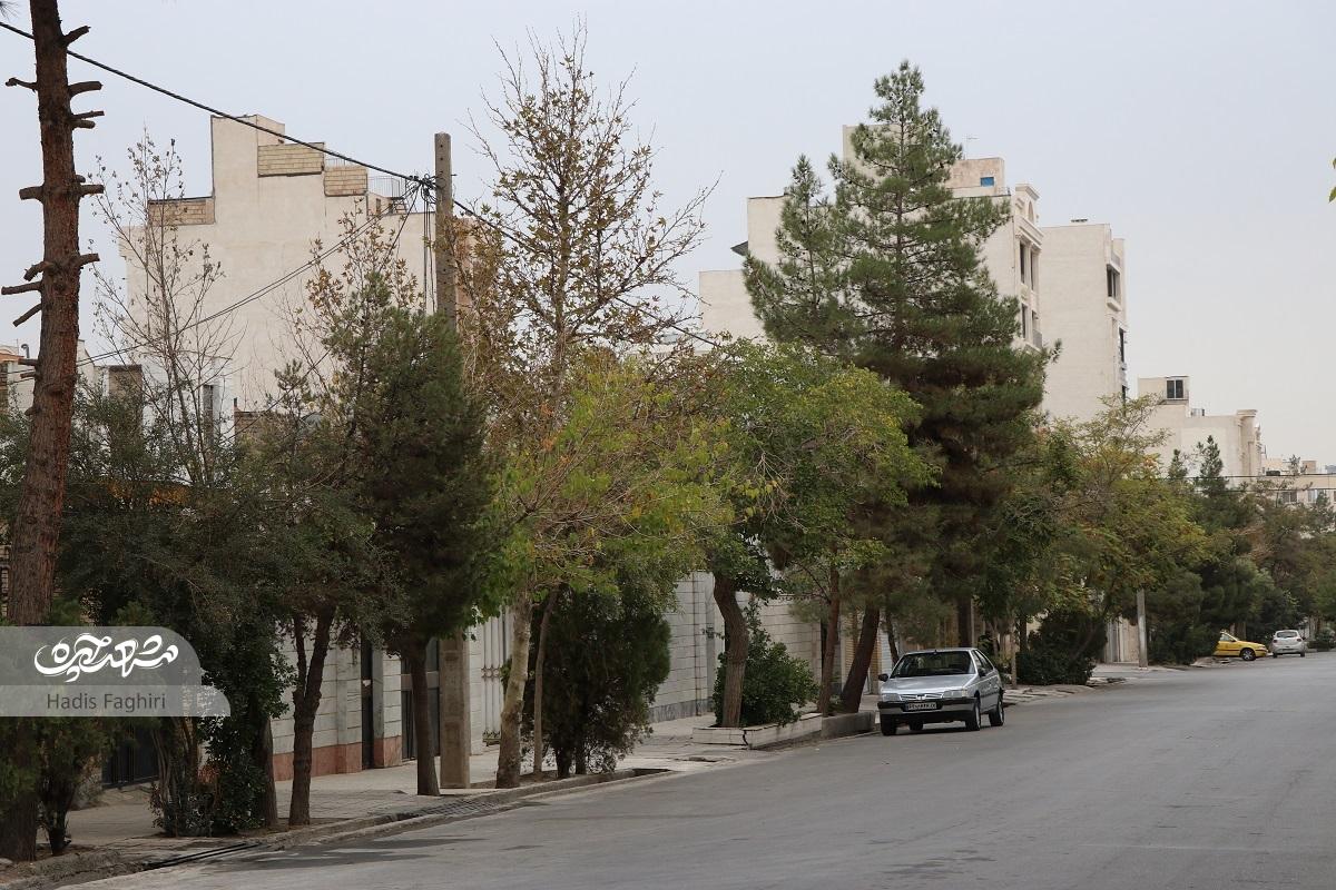 رونق ساختوساز در کوچه دانشآموز ۲۹ رونق ساختوساز در کوچه دانشآموز ۲۹