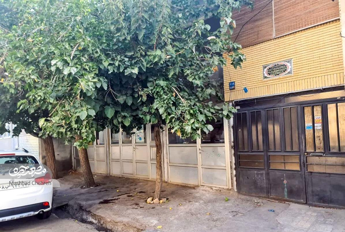 هاشم‌آقای آل‌ابراهیم هنوز صدای اهالی قدیمی محله‌اش را در خاطر داردنفتیه، نفت!