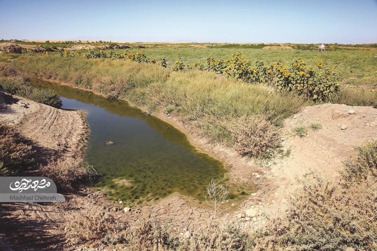 ظرفیتهای گردشگری «کشفرود»؛ رودخانه تاریخی شهر ظرفیتهای گردشگری «کشفرود»؛ رودخانه تاریخی شهر