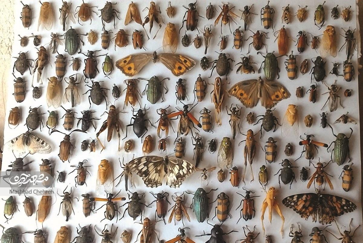 ظرفیتهای گردشگری «کشفرود»؛ رودخانه تاریخی شهر ظرفیتهای گردشگری «کشفرود»؛ رودخانه تاریخی شهر