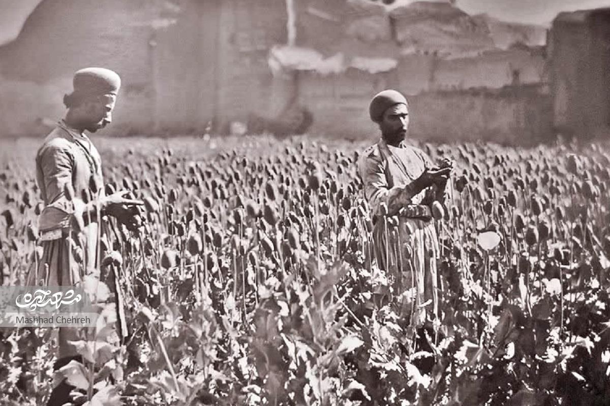 «احمدآباد»، مزرعهای در حاشیه مشهد «احمدآباد»، مزرعهای در حاشیه مشهد