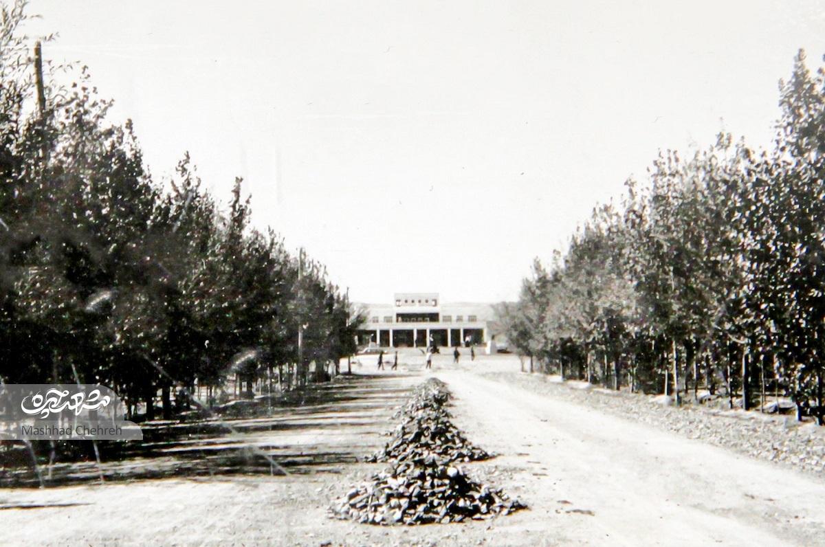 کوهسنگی از زیباترین خیابان‌های مشهد که نود‌سالگی را پشت سر می‌گذارد