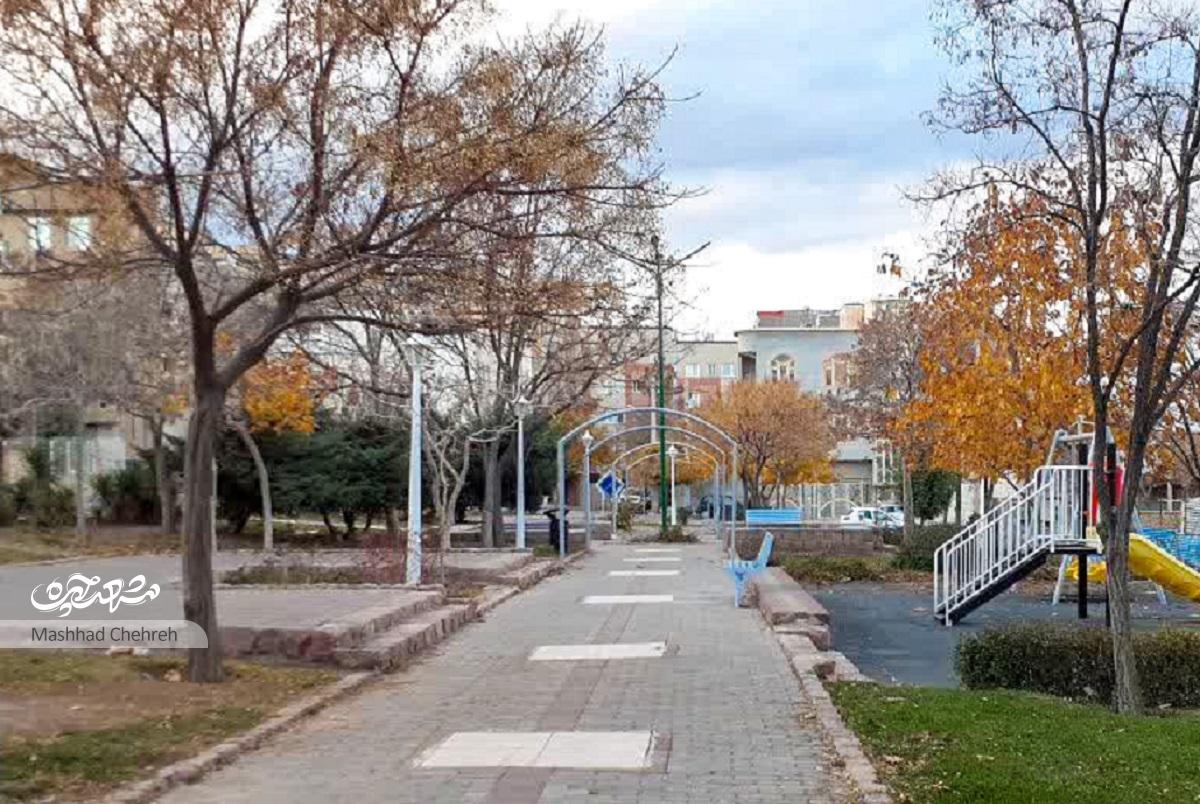 دردسر همسایگی با زمینهای بزرگ مقیاس دردسر همسایگی با زمینهای بزرگ مقیاس