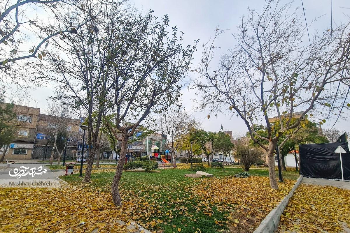 خاطرات ساکن قدیمی محله محمدآباد از نقش پررنگ مرحوم حاج محمدتقی زنجانی خاطرات ساکن قدیمی محله محمدآباد از نقش پررنگ مرحوم حاج محمدتقی زنجانی