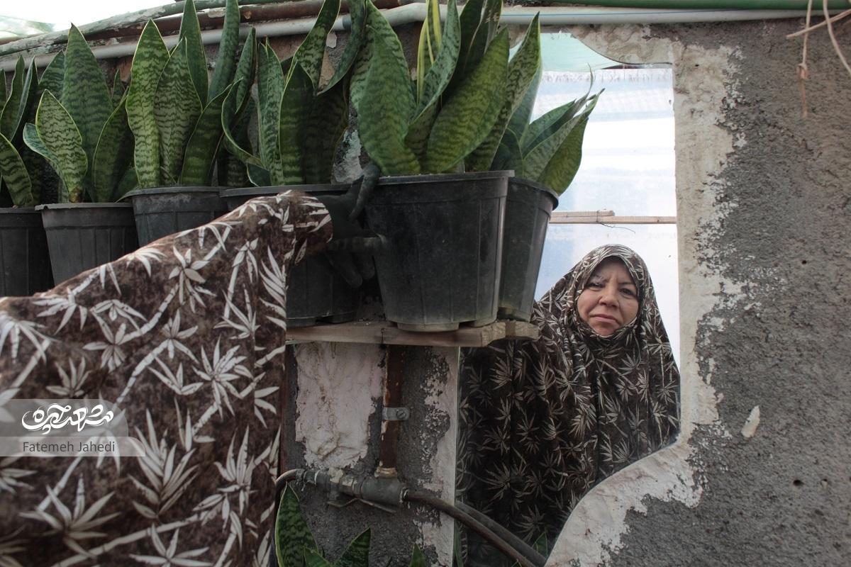 حال زهرا کاهانی مانند گیاهانش خوب است حال زهرا کاهانی مانند گیاهانش خوب است