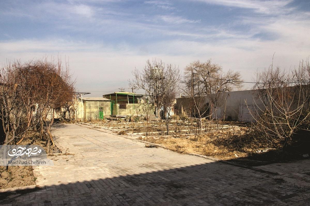 پاتوق آبتنی بچههای پورسینا پاتوق آبتنی بچههای پورسینا