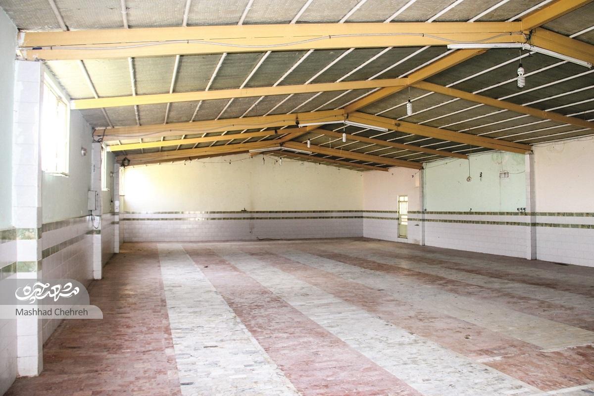 پاتوق آبتنی بچههای پورسینا پاتوق آبتنی بچههای پورسینا