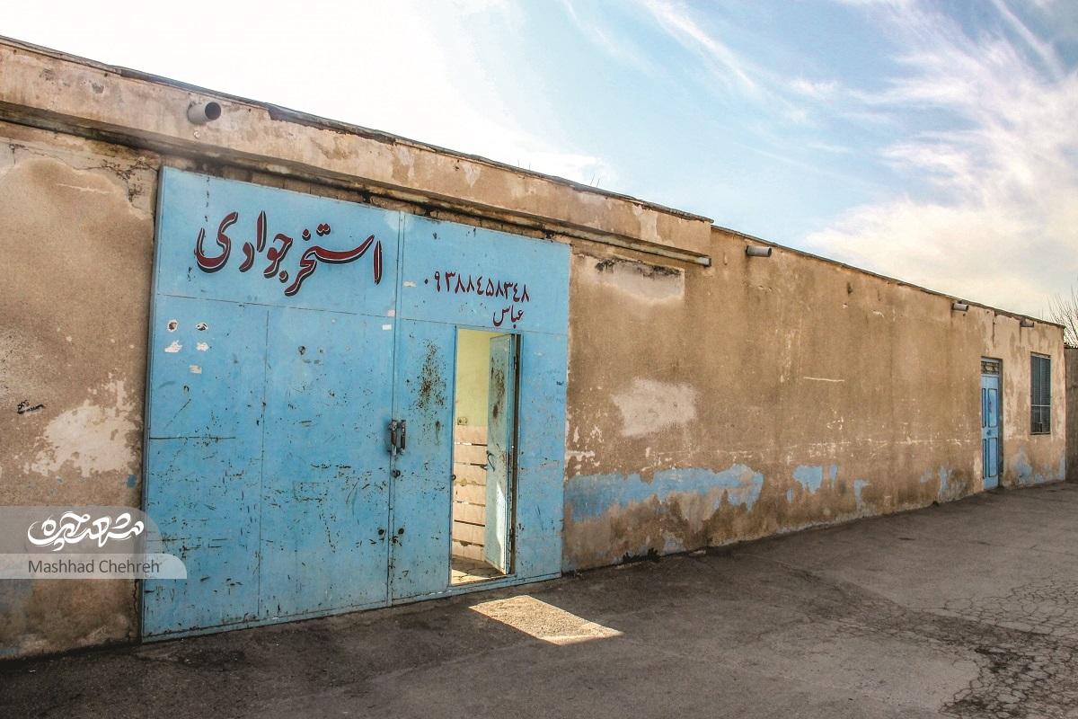 پاتوق آبتنی بچههای پورسینا پاتوق آبتنی بچههای پورسینا