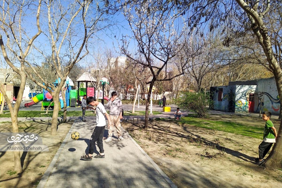 نوجوانی مصطفی هروی لابهلای ساختمانهای محله نیزه جا مانده است نوجوانی مصطفی هروی لابهلای ساختمانهای محله نیزه جا مانده است