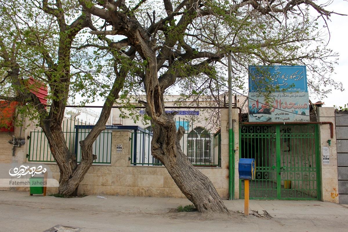 کلاتهبرفی؛ محلهای در توس که قدیم محل دژ نظامی بود کلاتهبرفی؛ محلهای در توس که قدیم محل دژ نظامی بود