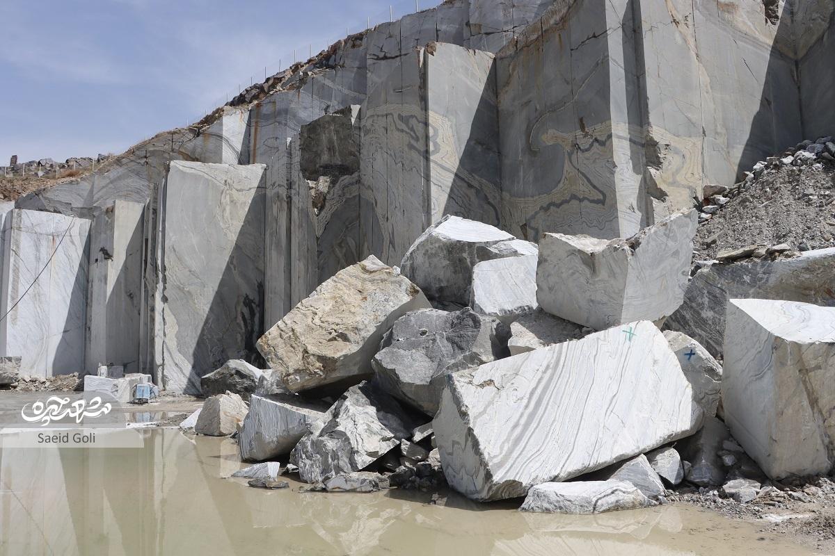 نگاهی به پرونده پرفرازونشیب «دیزدر» برای حفظ سنگنگارههای ثبتملی شده شاندیز نگاهی به پرونده پرفرازونشیب «دیزدر» برای حفظ سنگنگارههای ثبتملی شده شاندیز