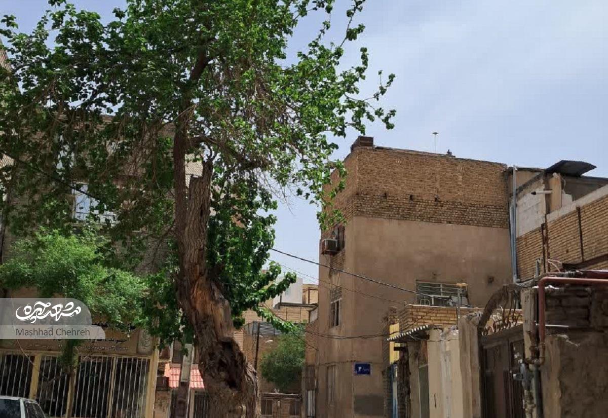 نشانه‌های مانده از قلعه نخودک