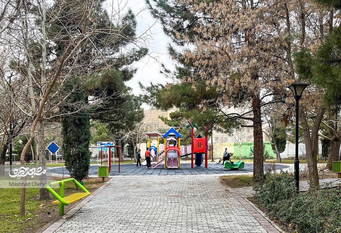 گلخانه‌دارها رفتند، درخت‌هایشان ماند