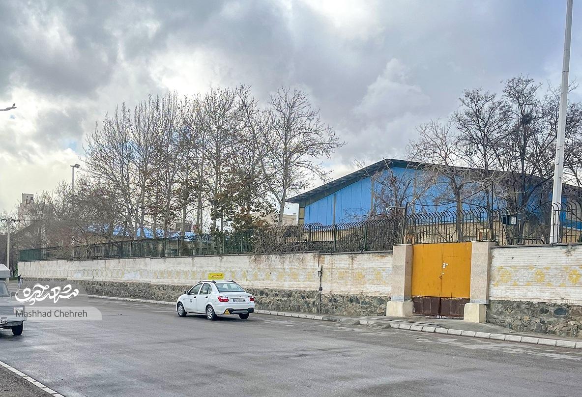 گلخانه‌دارها رفتند، درخت‌هایشان ماند