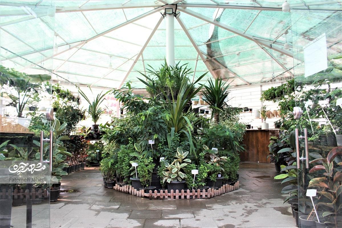 مزرعه کشاورزی اندیشه، جایی است که به اهالی حس تعلق خاطر داده است مزرعه کشاورزی اندیشه، جایی است که به اهالی حس تعلق خاطر داده است