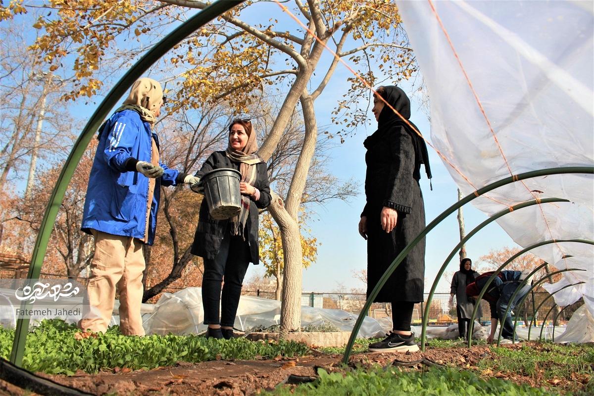 مزرعه کشاورزی اندیشه، جایی است که به اهالی حس تعلق خاطر داده است مزرعه کشاورزی اندیشه، جایی است که به اهالی حس تعلق خاطر داده است