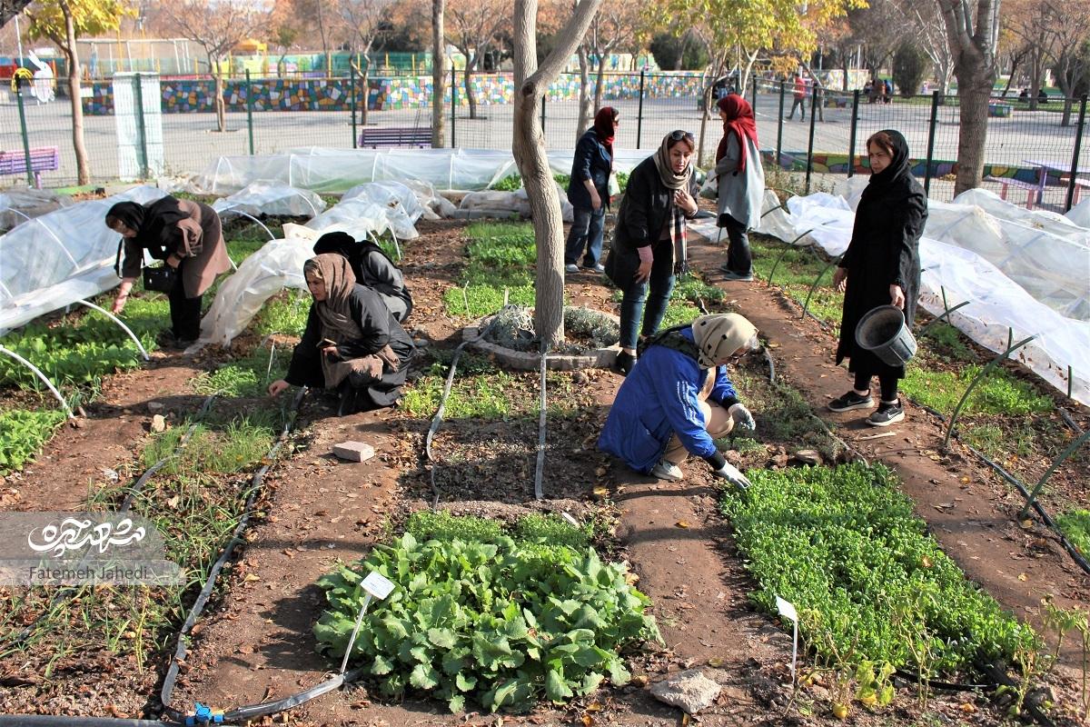 مزرعه کشاورزی اندیشه، جایی است که به اهالی حس تعلق خاطر داده است مزرعه کشاورزی اندیشه، جایی است که به اهالی حس تعلق خاطر داده است