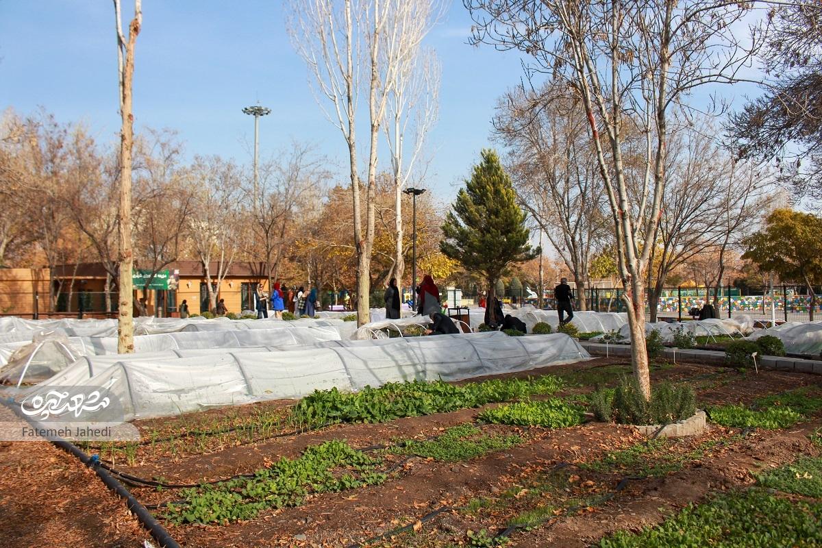 مزرعه کشاورزی اندیشه، جایی است که به اهالی حس تعلق خاطر داده است مزرعه کشاورزی اندیشه، جایی است که به اهالی حس تعلق خاطر داده است