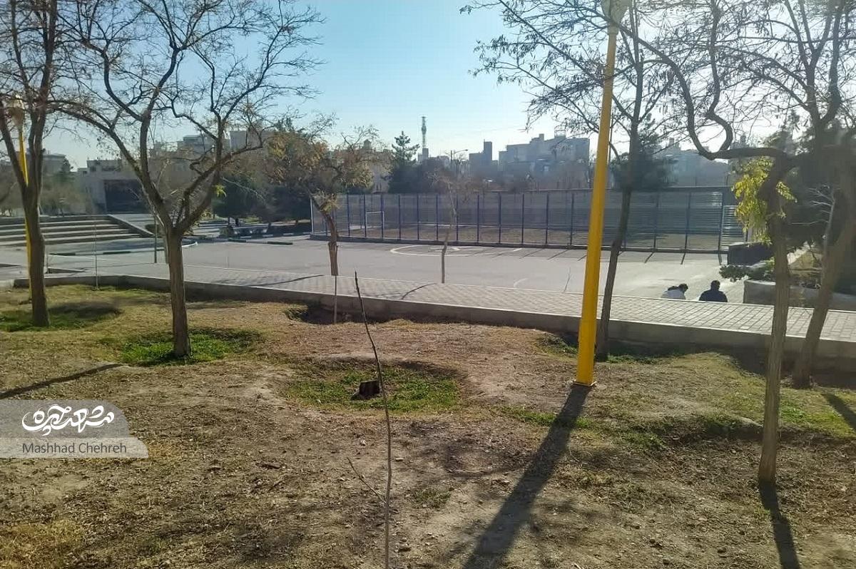 شهیدحسنی ۱۵؛ کوچه‌ای برای دانش‌آموزان