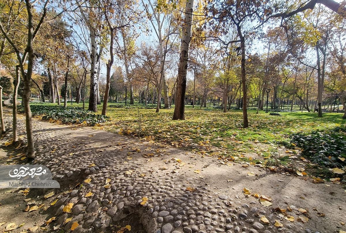 رفتن به حرم با خط۱۲ بهترین تفریح بانوان محله آزادشهر بود