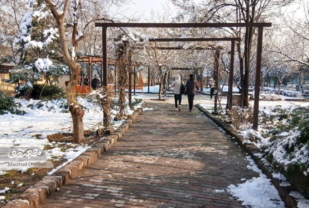 «گلایل»؛ پاتوقی دلنشین برای دورهمی اهالی محله امامیه