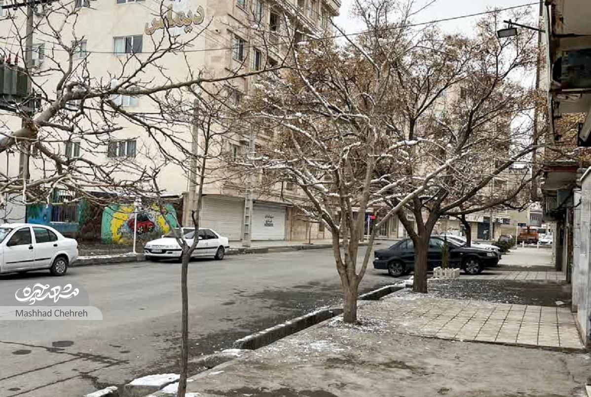 سیدمصطفی مصطفوی؛ معلم قرآن اقدسیه