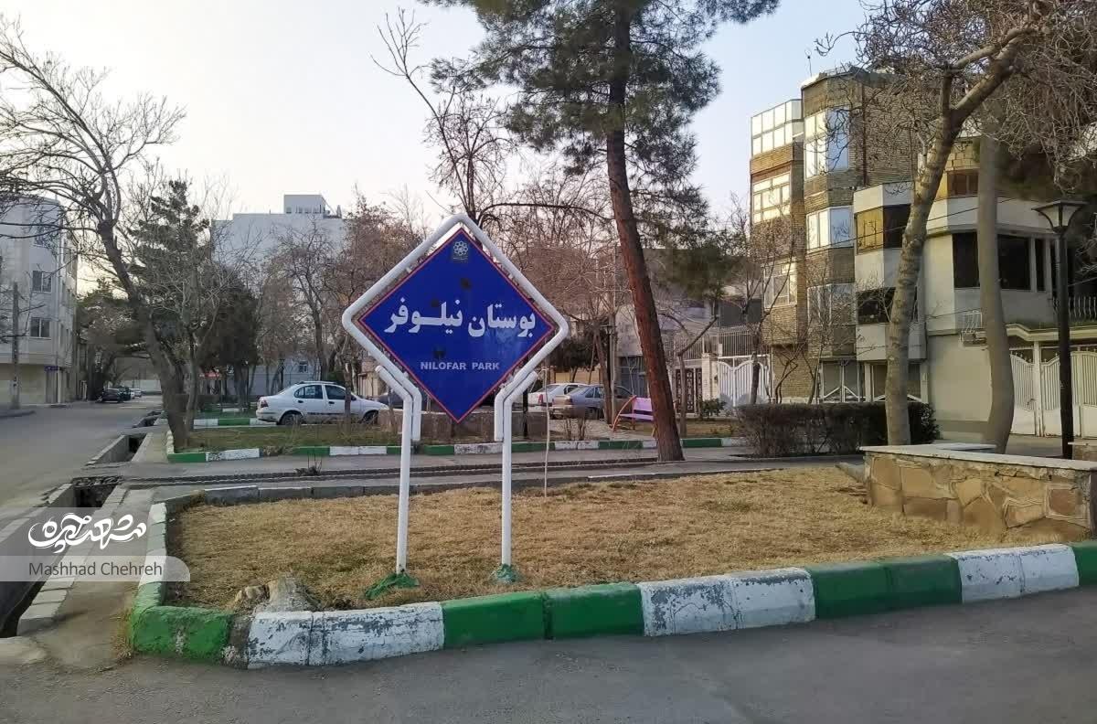 خانههایی برای کارمندان در کوچه شهدای فاطمیون ۲۳ خانههایی برای کارمندان در کوچه شهدای فاطمیون ۲۳