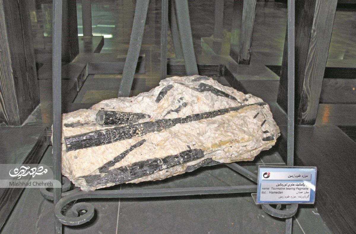 موزه زمین شناسی محله سرافرازان، همسایهای با قدمت ۵۰۰ میلیون سال! موزه زمین شناسی محله سرافرازان، همسایهای با قدمت ۵۰۰ میلیون سال!