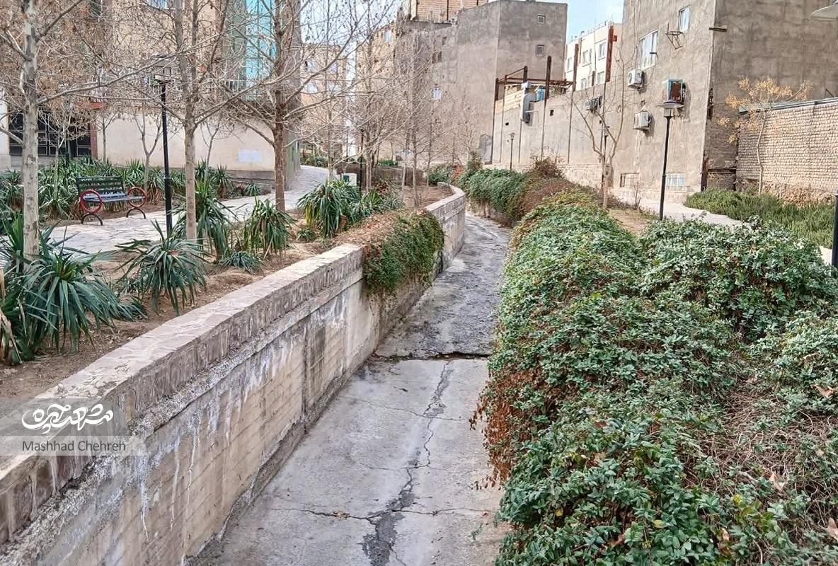 همسایگی با زمینهای متروکه همسایگی با زمینهای متروکه