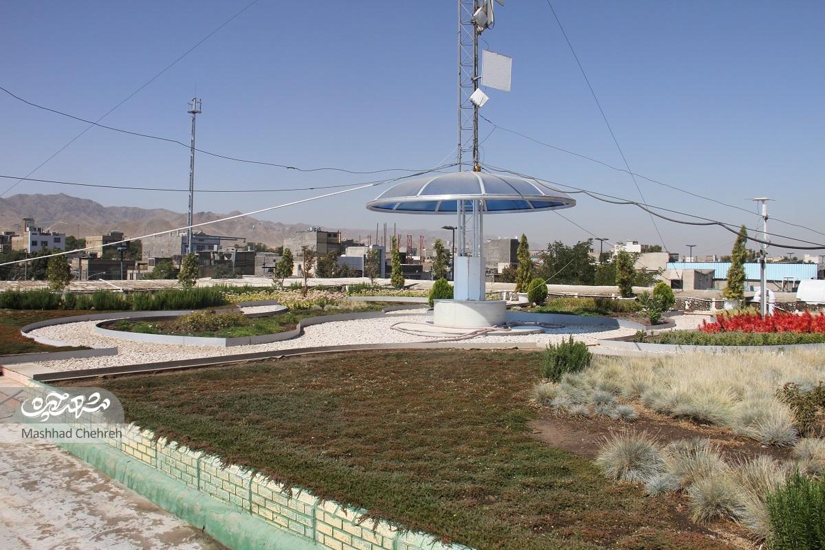 محمدحسین کریمی در سال ۷۸ ایده باغ بام را طراحی کرد محمدحسین کریمی در سال ۷۸ ایده باغ بام را طراحی کرد