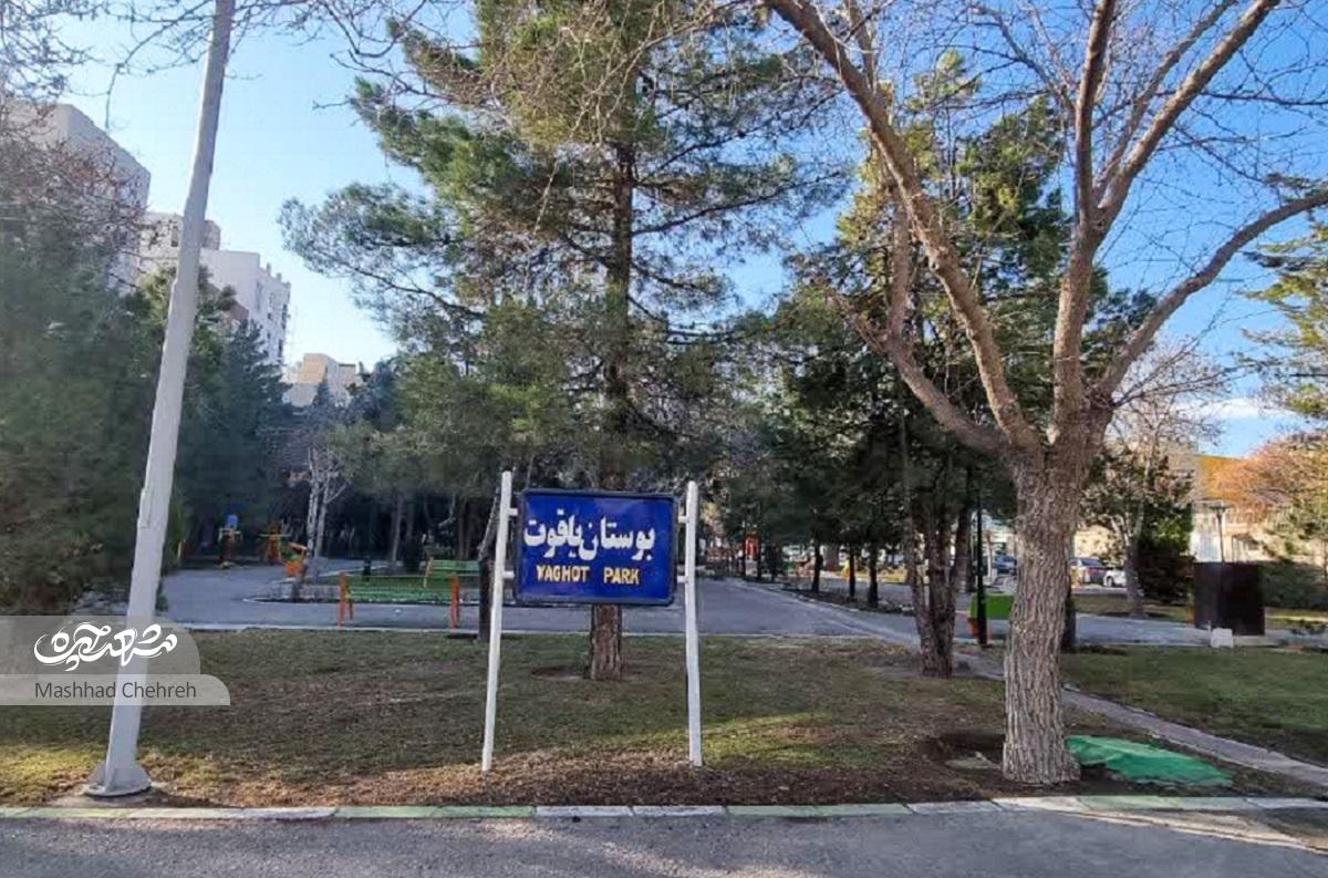 معبری برای خانواده «دادگستری»