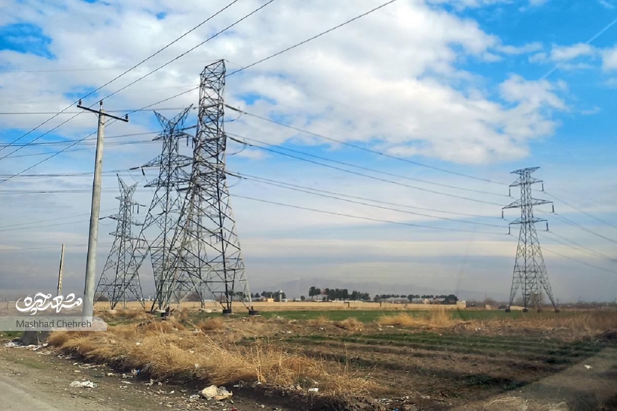 «گلشاد»؛ پاخور عروس و دامادها «گلشاد»؛ پاخور عروس و دامادها