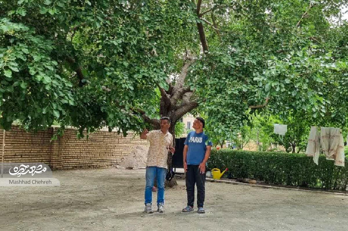 محسن محمدزاده پای پاچال تنها نانوایی آخر محله آزادشهر بزرگ شدیکشنبهها بهترین روز هفته بود محسن محمدزاده پای پاچال تنها نانوایی آخر محله آزادشهر بزرگ شدیکشنبهها بهترین روز هفته بود