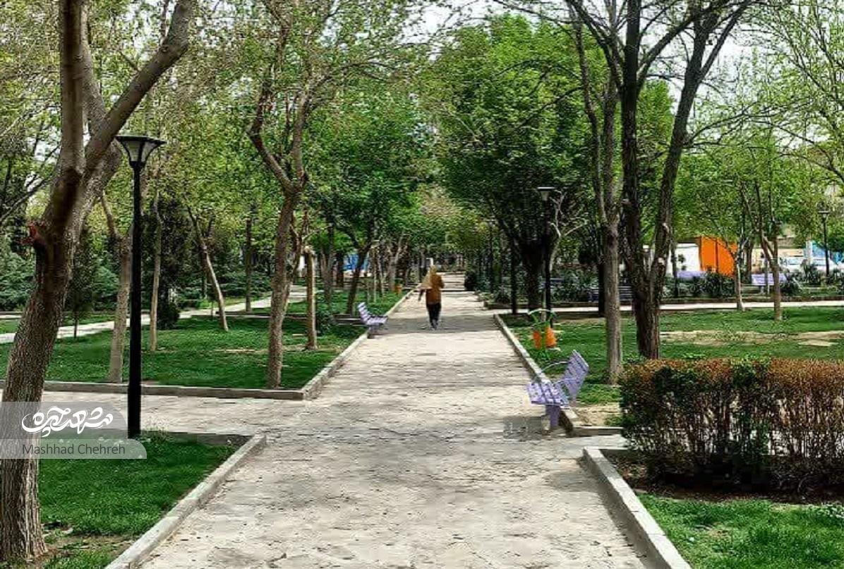 کوچه مدرسه‌ها در محله عباس‌آباد