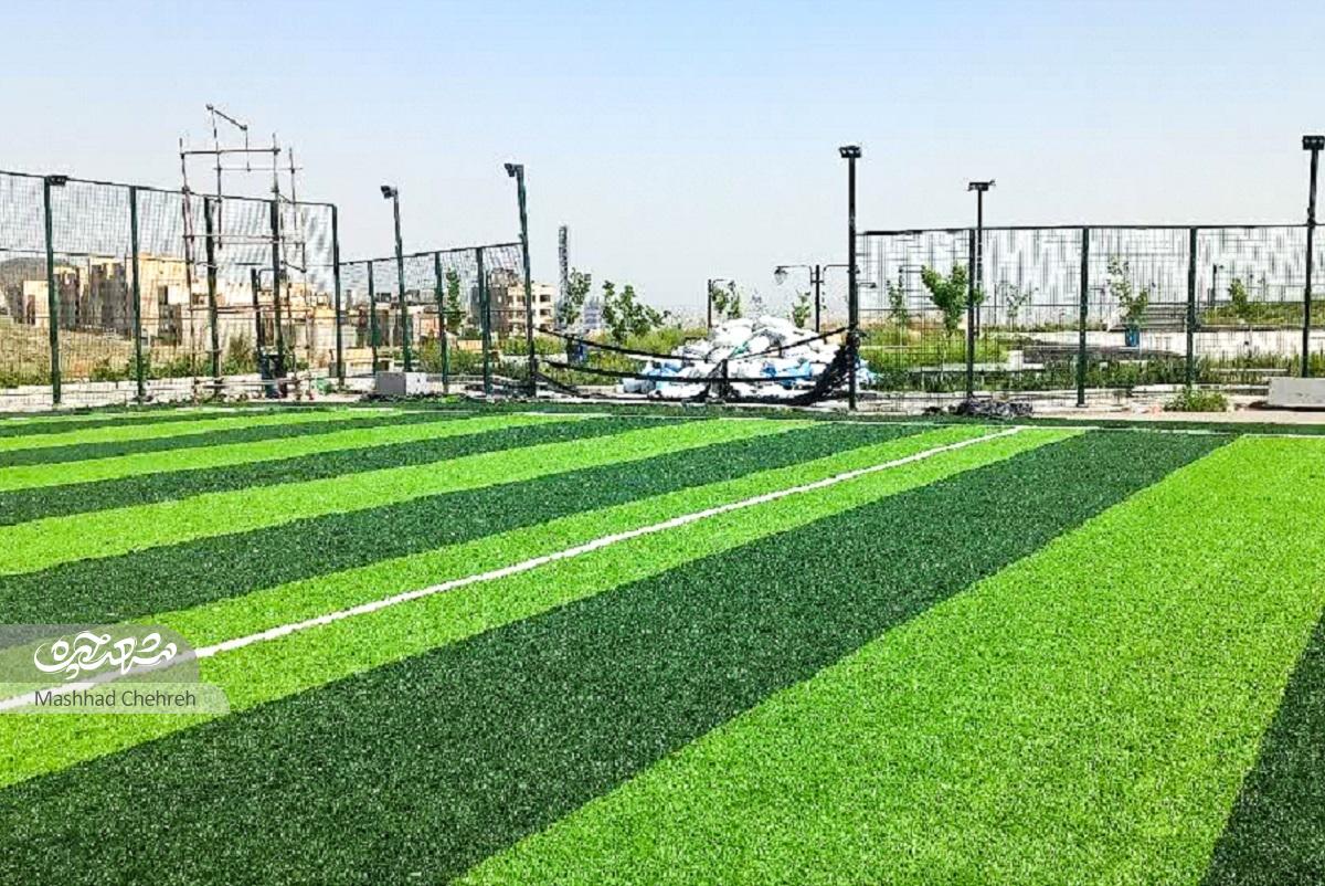 چمن مصنوعی کوه‌پارک، پاتوق ورزشکاران است