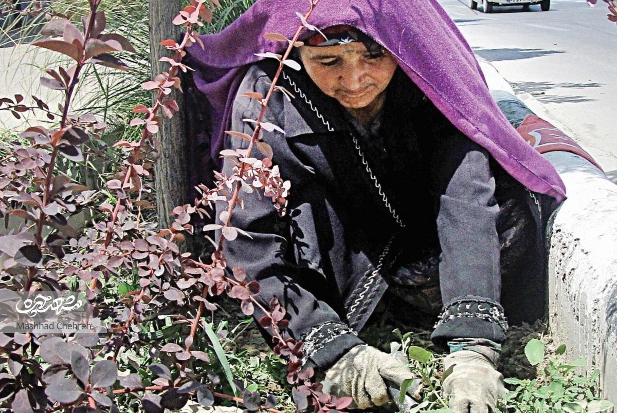 سرسبزی بولوار مجلسی کار دست بانوان است