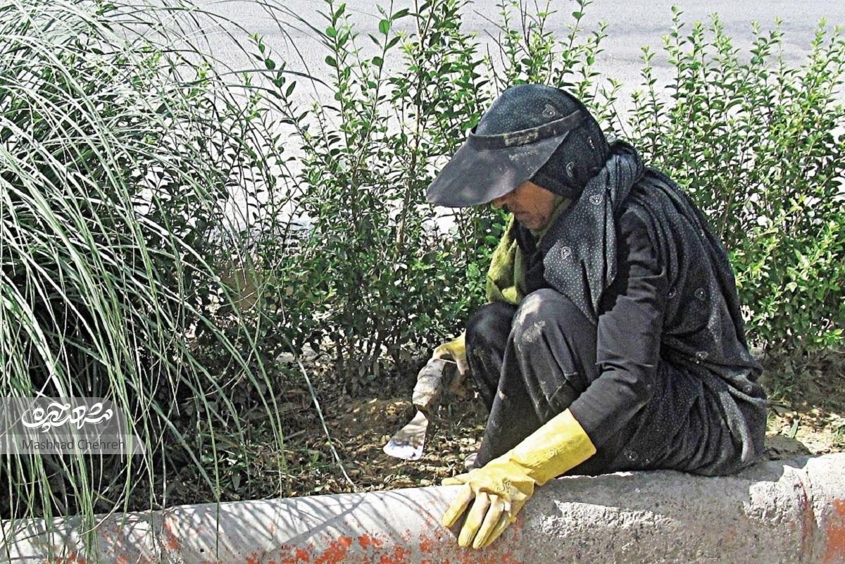 سرسبزی بولوار مجلسی کار دست بانوان است