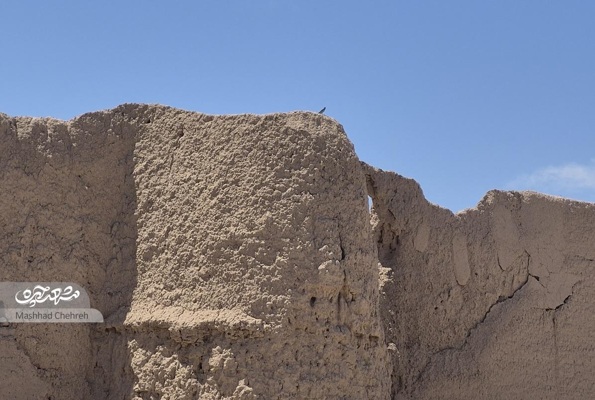 دیوار توس، حالا خودش نیازمند محافظت است دیوار توس، حالا خودش نیازمند محافظت است