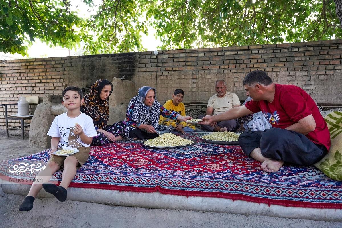 دورهمیهای شیرین به برکت درختان توت باغ امامرضا(ع) دورهمیهای شیرین به برکت درختان توت باغ امامرضا(ع)