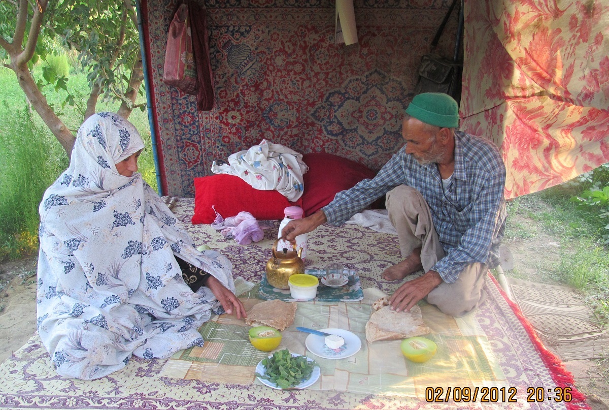 «بیبی آفتابگردان» و «بابای امید» در باغهای اطراف التیمور زندگی میکنند «بیبی آفتابگردان» و «بابای امید» در باغهای اطراف التیمور زندگی میکنند