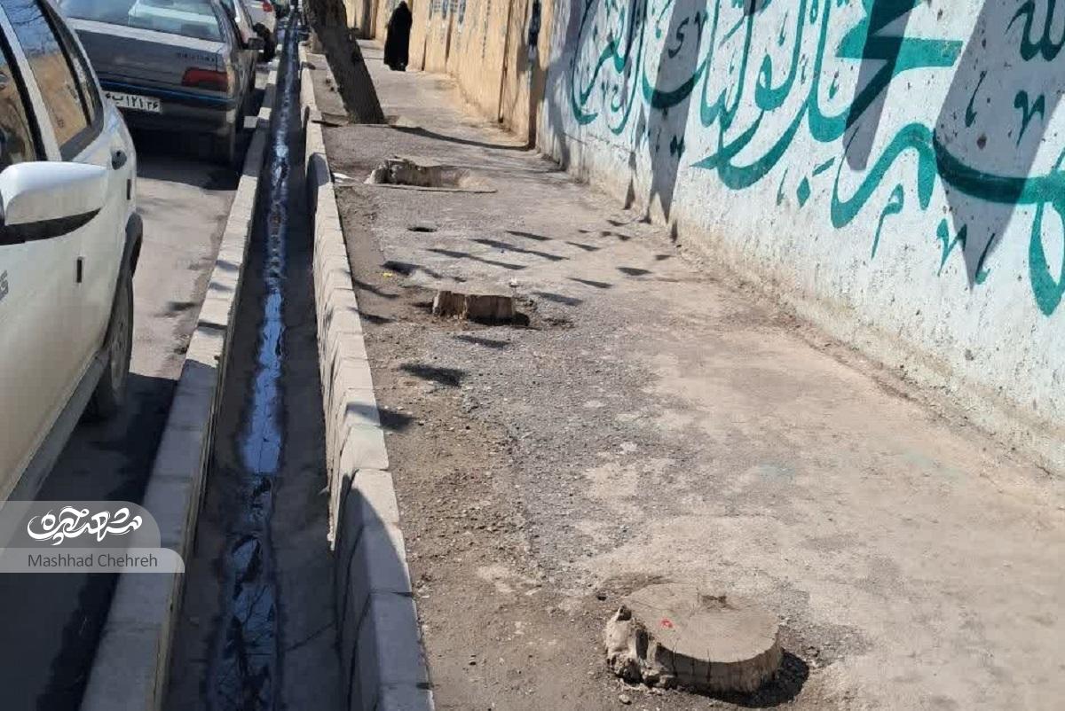 کوچه مسجد حسینی