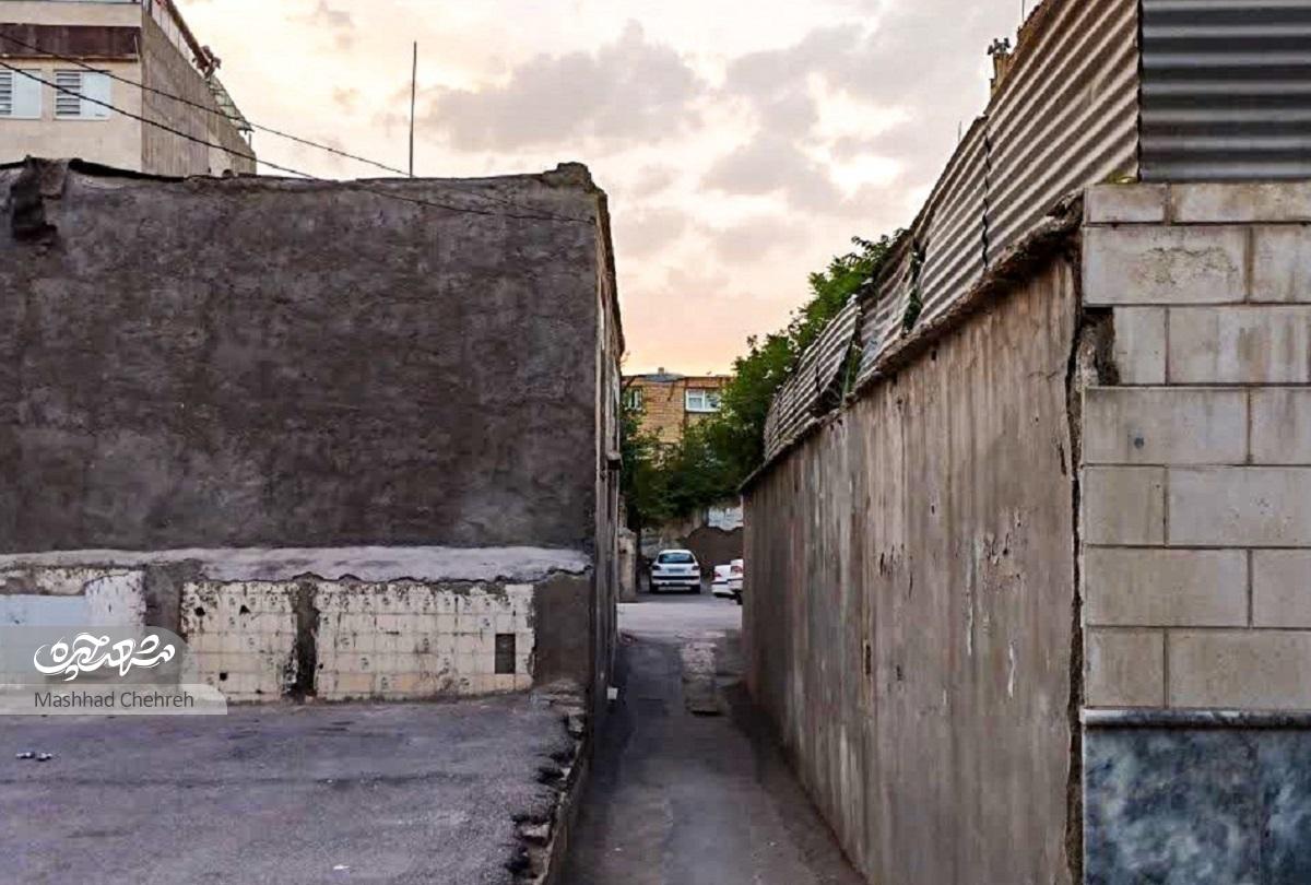 کوچه «توحید ۴»؛ پاچناری که گلشن شد