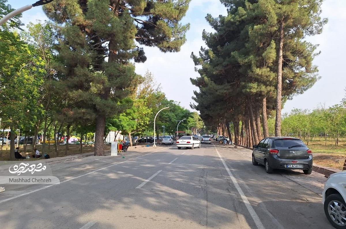 کمپ غدیر در تابستان روزانه پذیرای ۱۵ تا ۲۰هزار نفر است کمپ غدیر در تابستان روزانه پذیرای ۱۵ تا ۲۰هزار نفر است