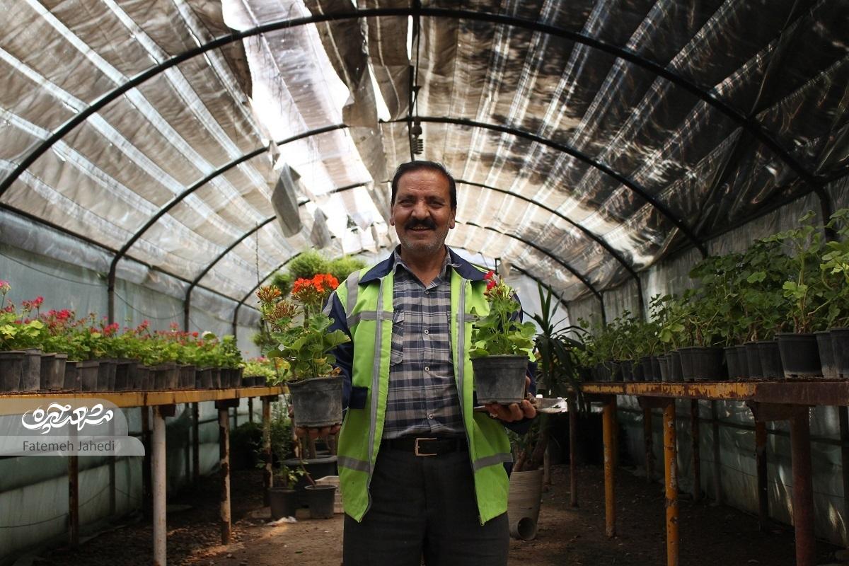 برای زائران امام رضا(ع) گل می‌کارم