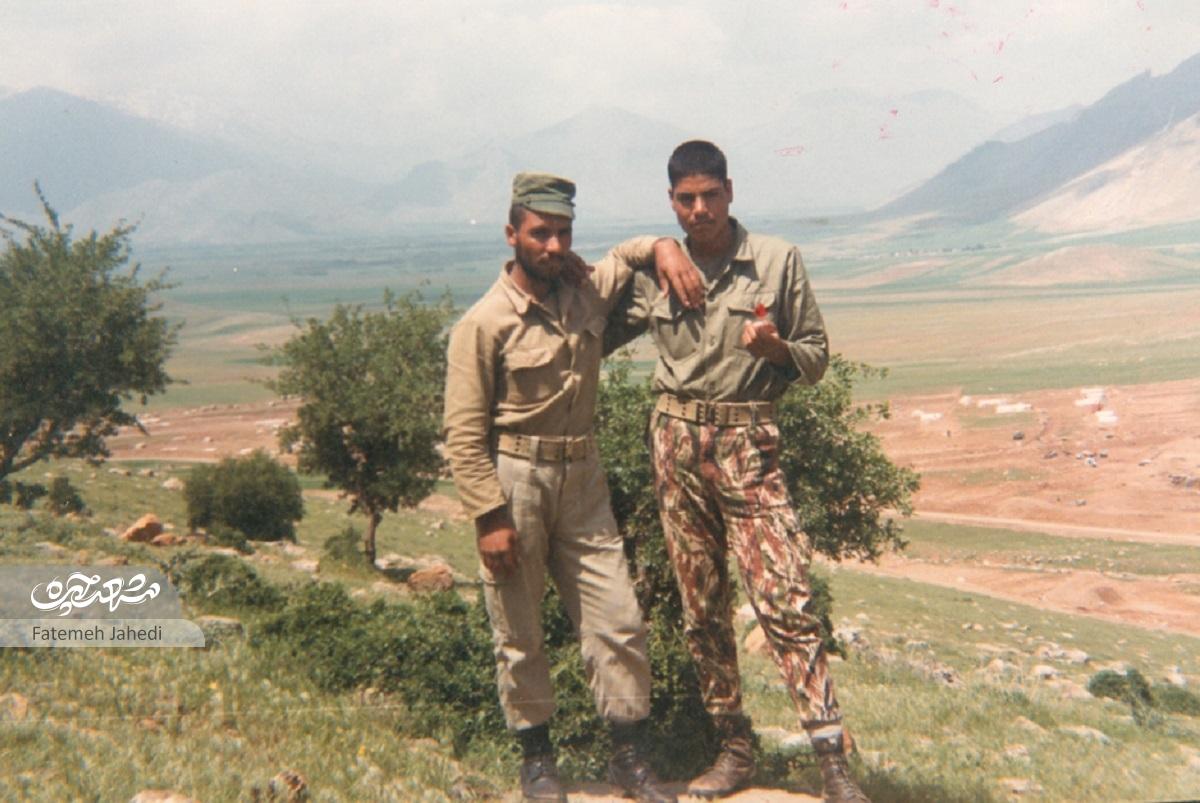 در پناه گلخانه در پناه گلخانه