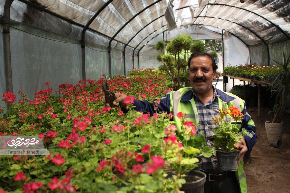 در پناه گلخانه در پناه گلخانه