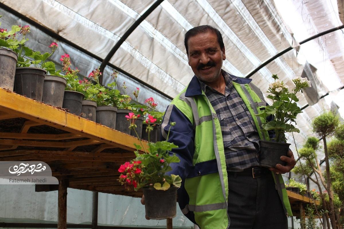 در پناه گلخانه در پناه گلخانه