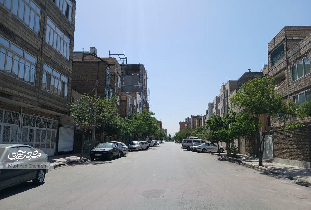 جمع درختان در کوچه اندیشه ۷۱