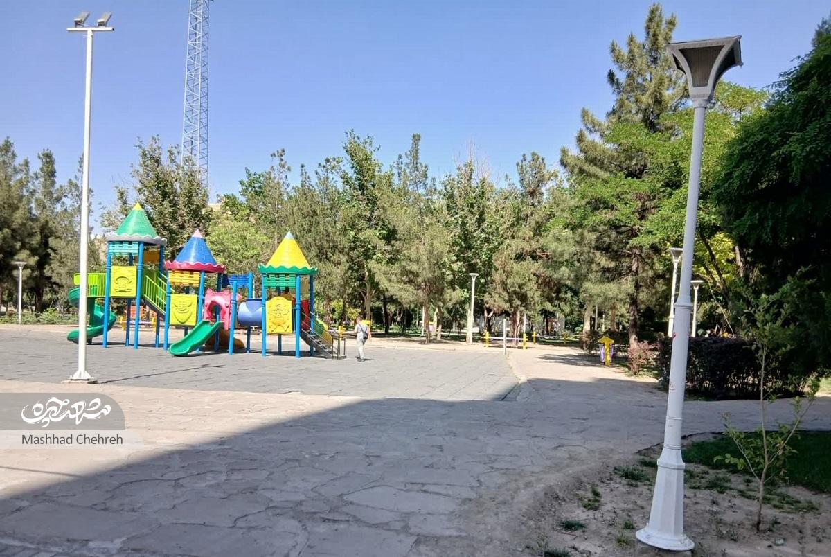 جمع درختان در کوچه ایثارگران